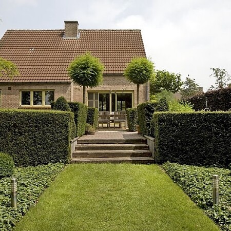 Eeklo_-_M[1]._Vermeulen-Nigella_008.jpg